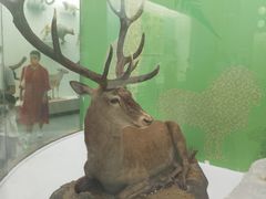 -国家自然博物馆