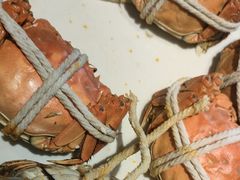 -杨氏青龙虾·羊蝎子(金盛路总店)