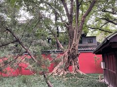 -成都武侯祠博物馆