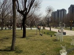 -唐城墙遗址公园