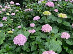 -常州古运河南大街文化旅游区-人民公园