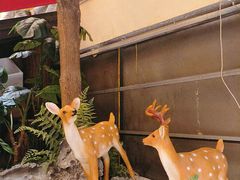 -肖记公安牛肉鱼杂馆· 省级非物质文化遗产(仁和路店)