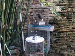 -老洋房花园饭店(绍兴路店)