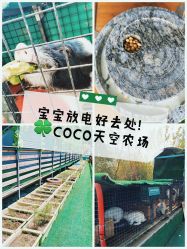 点击看大图 -可可天空农场(中大店)