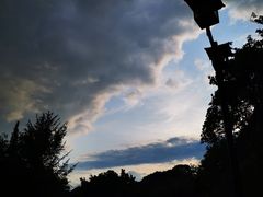-桂湖森林公园