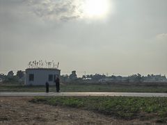 -桤木河湿地公园