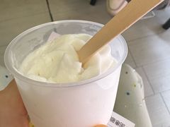 -洪馨椰子