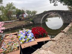 -鹅湖玫瑰文化园