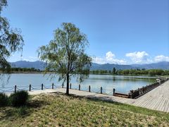 -野鸭湖国家湿地公园