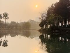 -洋湖国家湿地公园