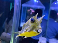 -太平洋海底世界