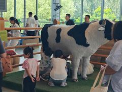 -呼和浩特市老牛儿童探索馆
