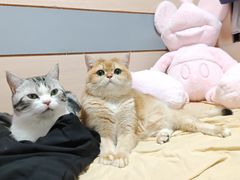 -天空之镜眼镜店蔡司依视路授权店(天通苑店)