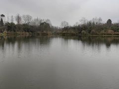 -桤木河湿地公园