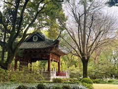 -汇龙潭