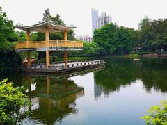 -晓港公园