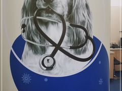 -佩兹宠物医院肿瘤专科·眼科·牙科(黄浦店)