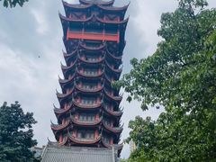 -塔子山公园
