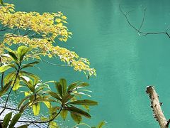 -鼎湖山风景区