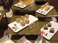 -壹号港湾