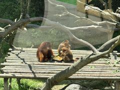 -宁波野生动物园