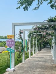 -太湖雪蚕桑文化园