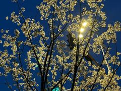 -幕燕滨江·燕子矶公园