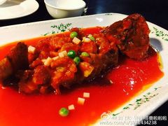 -云中小雅