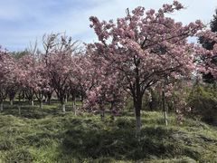 -黄河小浪底水利枢纽风景区