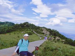 -白草畔自然风景区