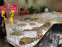 -甲鱼张甲鱼铺子(观沙岭店)