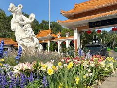 -深圳仙湖植物园