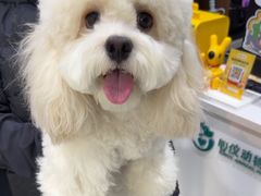 -心仪动物医院·牙专科·肿瘤·心脏科(西客站院)