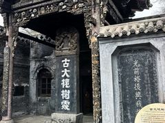 -大槐树寻根祭祖园
