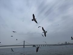 -星海广场
