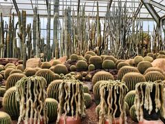 -南通洲际绿博园