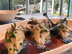 -五稻厨房粤西菜(新闻店)