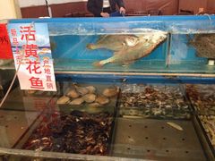 -小铜锣湾海鲜家常菜馆(河西店)