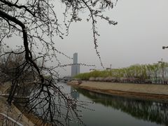 -桃花堤公园