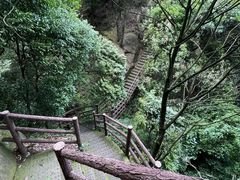 -缙云山景区