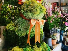 -PlantsEatery·植物食堂(REX春熙店)