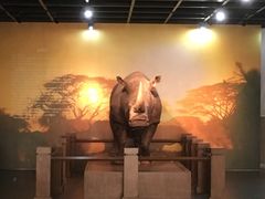 -广东中医药博物馆