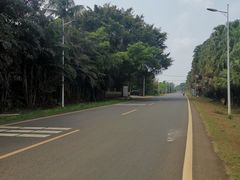 -东寨港红树林旅游区