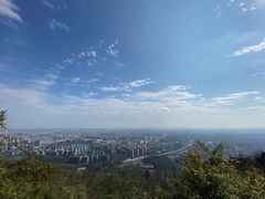 -杭州半山国家森林公园