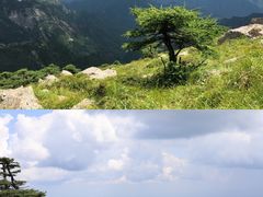 -朱雀国家森林公园
