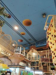 -卡通尼·Safari非洲探索乐园·生日会(金桥国际商业广场店)