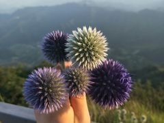 -白草畔自然风景区