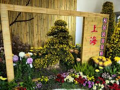 -杭州植物园
