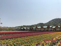 -丹樱生态园