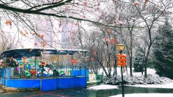 -大望京儿童游乐场
